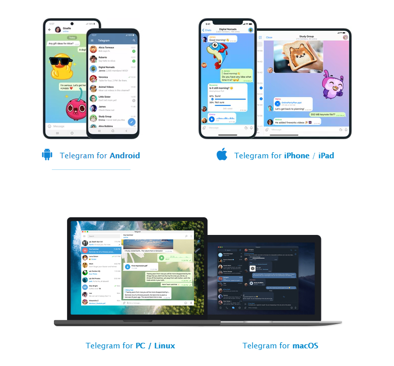 WebP browser support